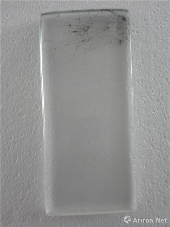 蜘蛛网，聚酯树脂，蜘蛛网，丙烯酸漆／Spider web, Polyester resin, spider web, acrylic paint, 27x12, 2014