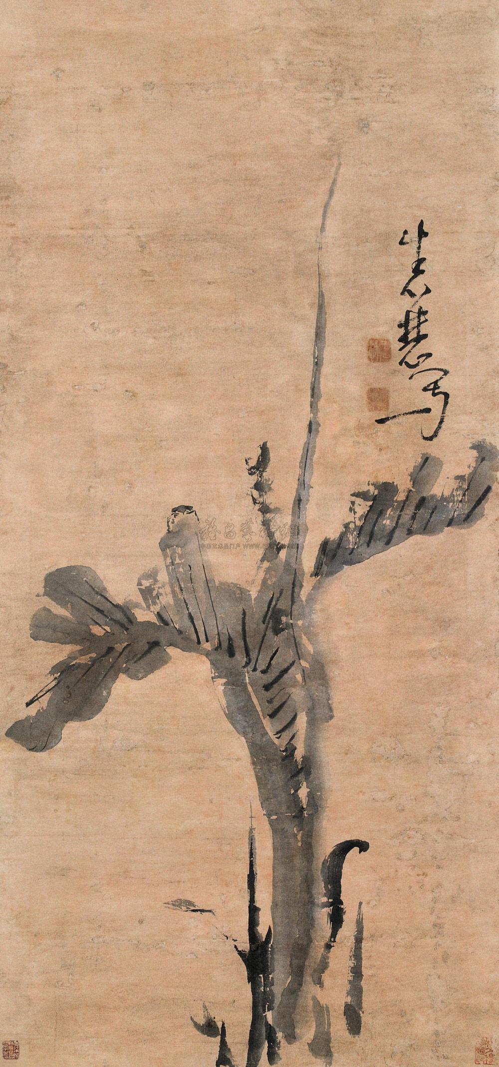 牛石慧 芭蕉 立轴