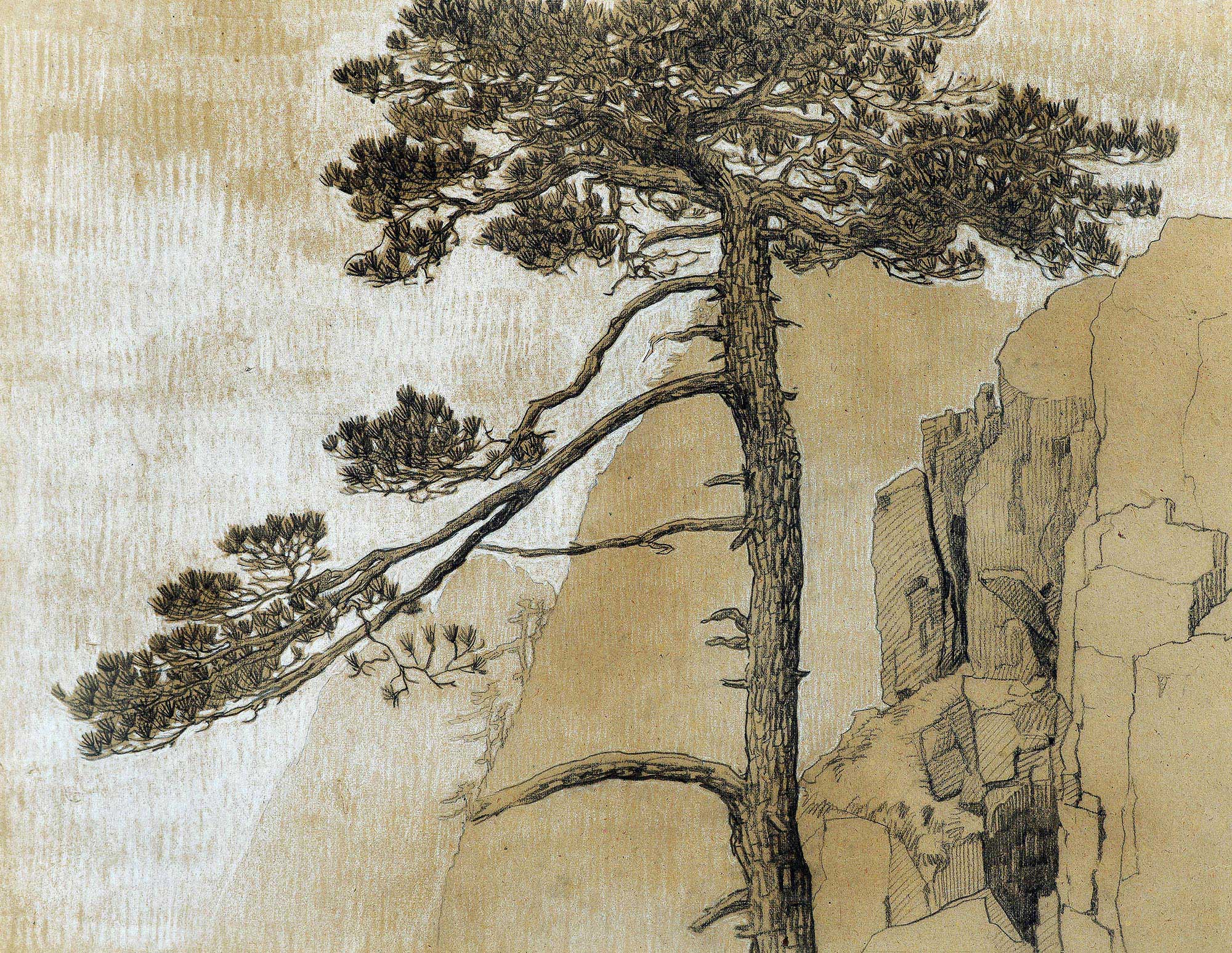 4030 1936年作 黄山迎客松 纸本炭铅笔素描