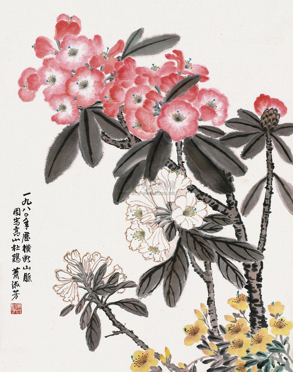 萧淑芳 高山杜鹃花 立轴