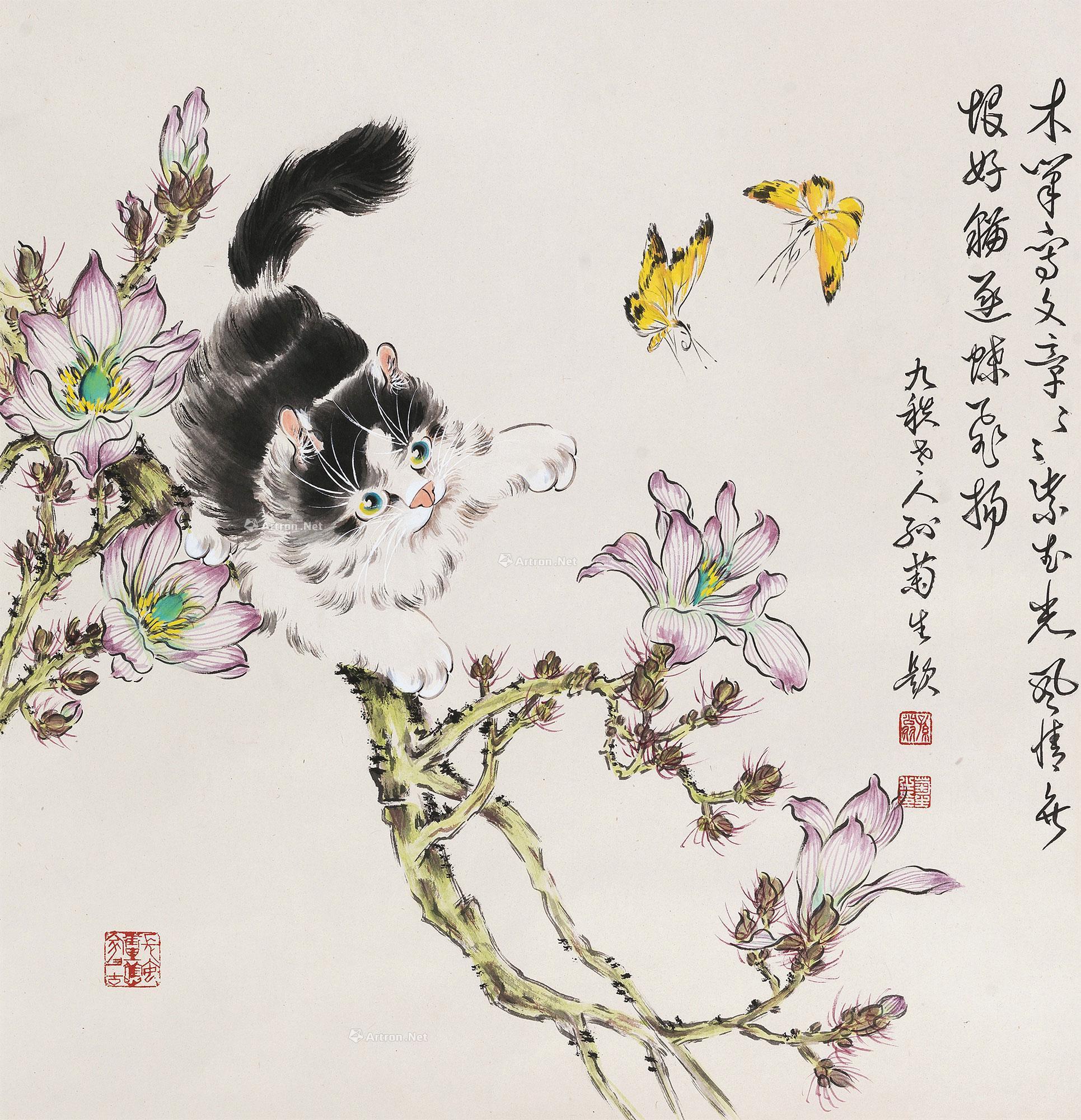 孙菊生 猫蝶图 镜心