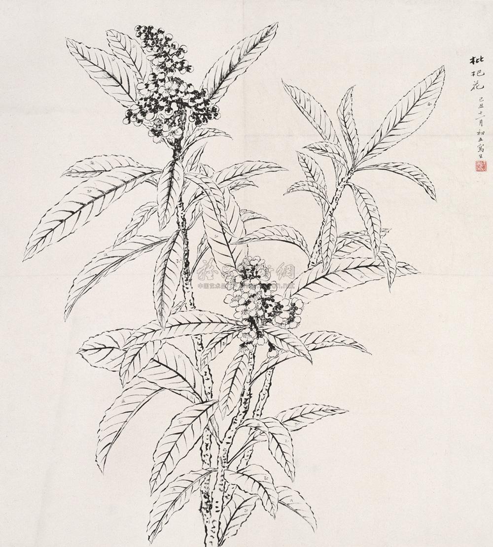 陶冷月 枇杷花 立轴