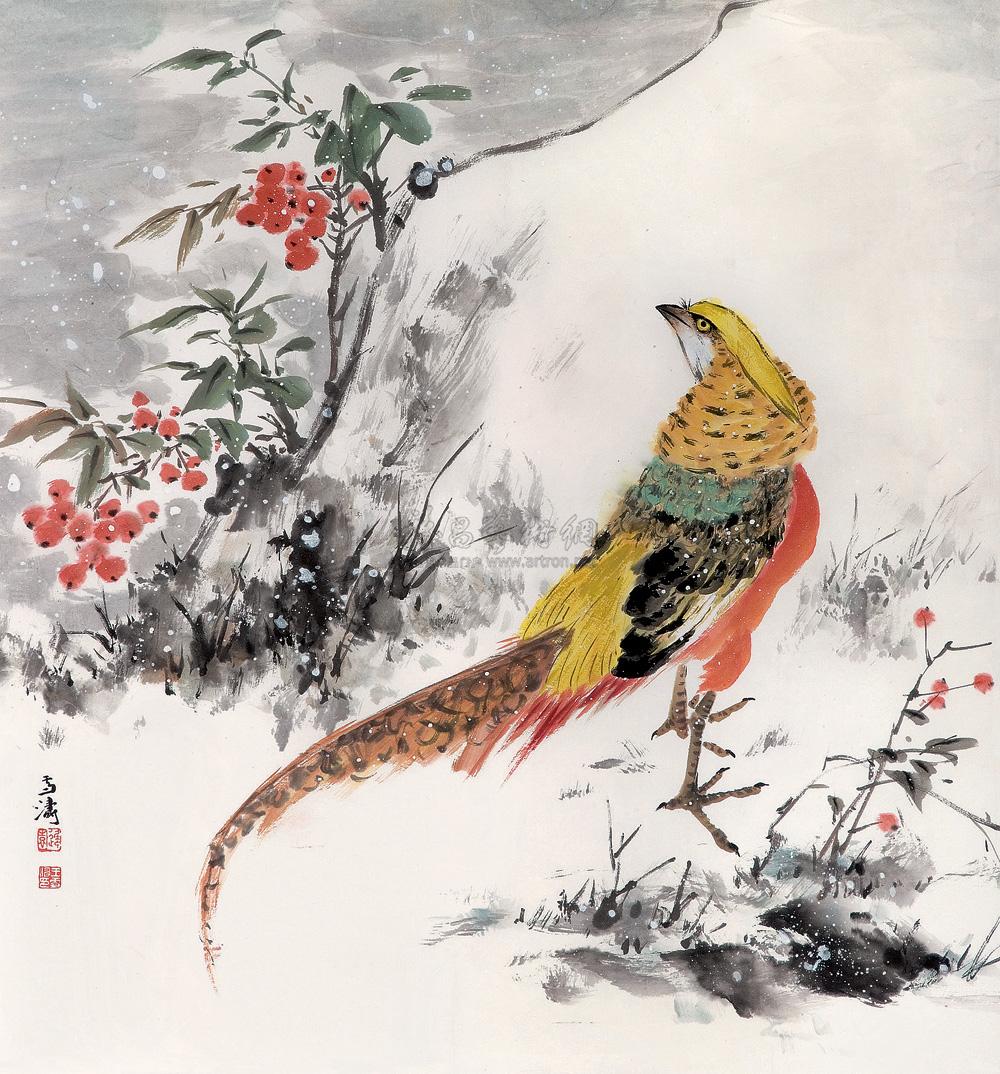 王雪涛 天竺锦鸡图 镜心