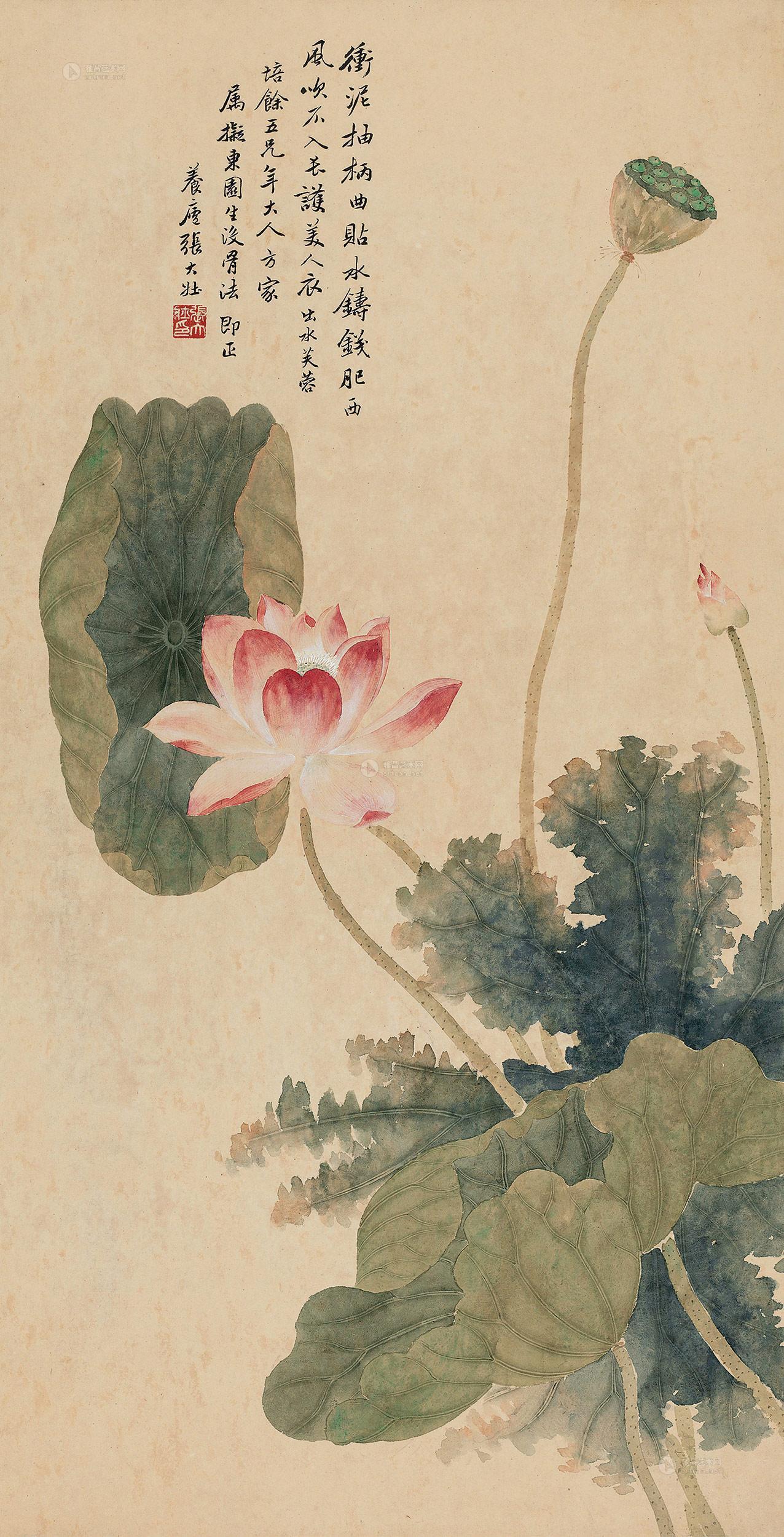 张大壮 出水芙蓉 立轴