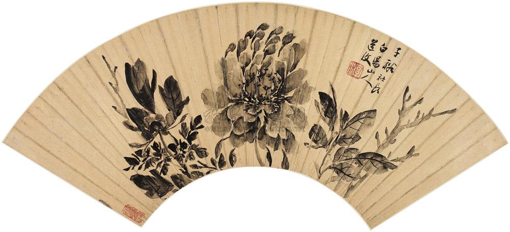 陈淳 墨牡丹 扇面