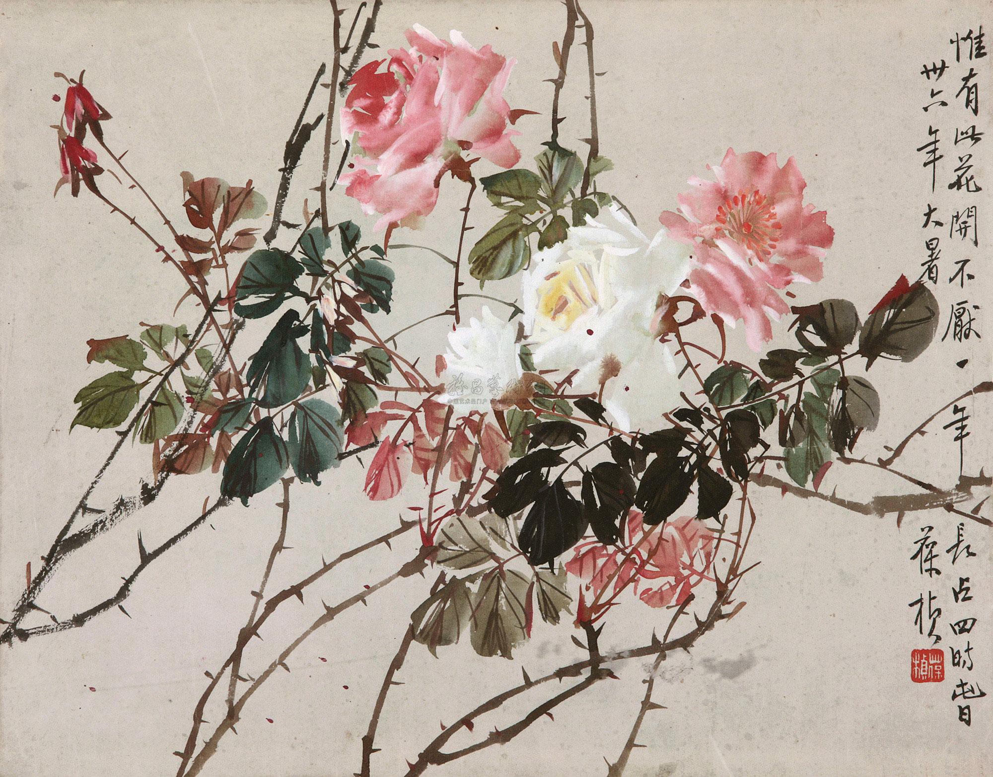 苏葆桢 月季 镜心