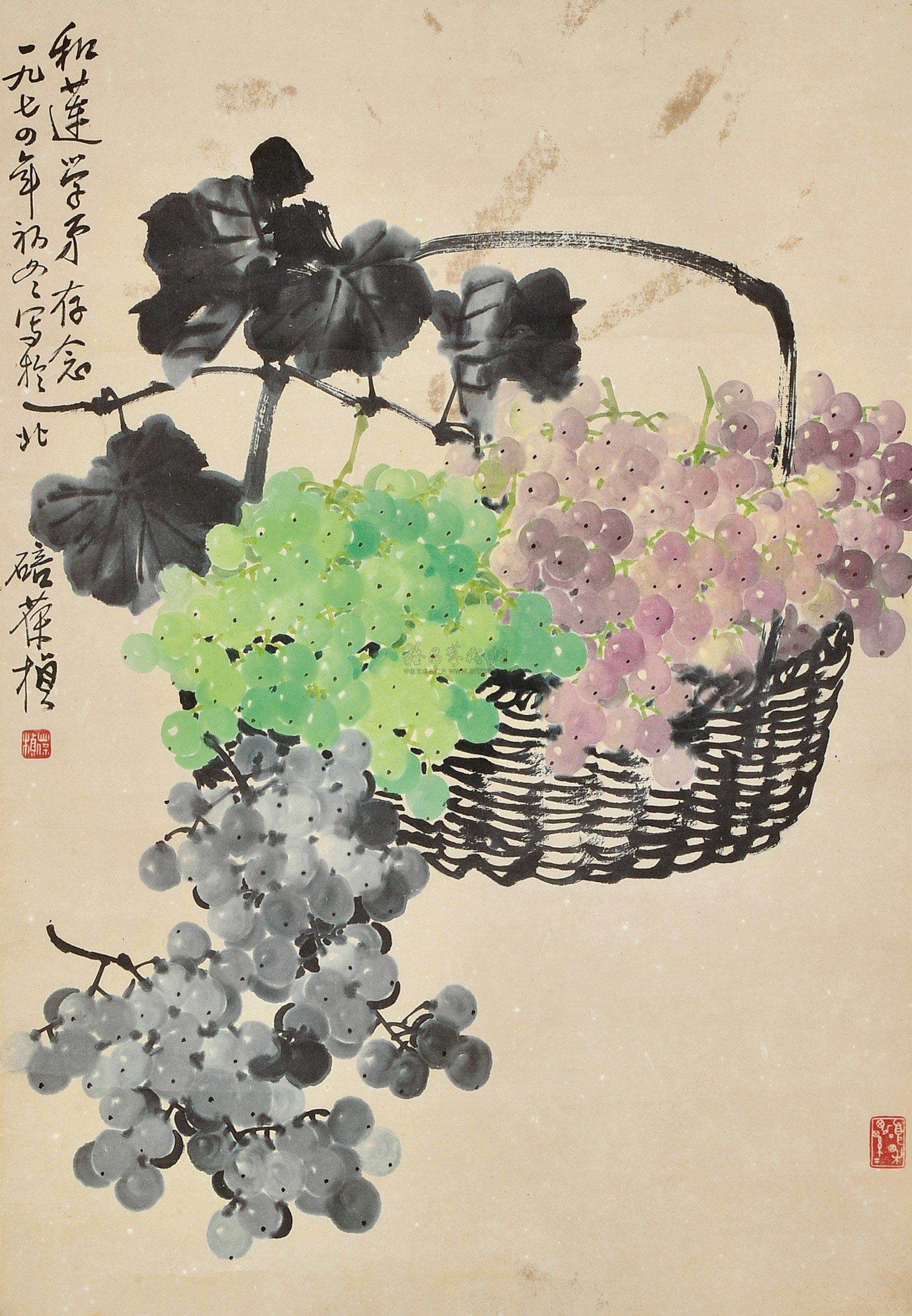 苏葆桢 篮子葡萄