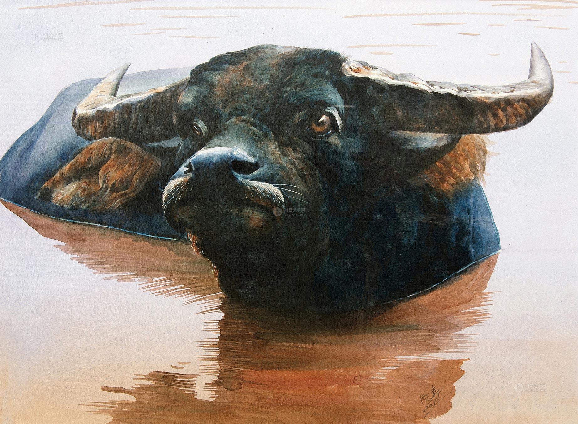 2010年作 水牛作者胡晓幸拍品分类西画雕塑>水粉水彩创作年代2010年作