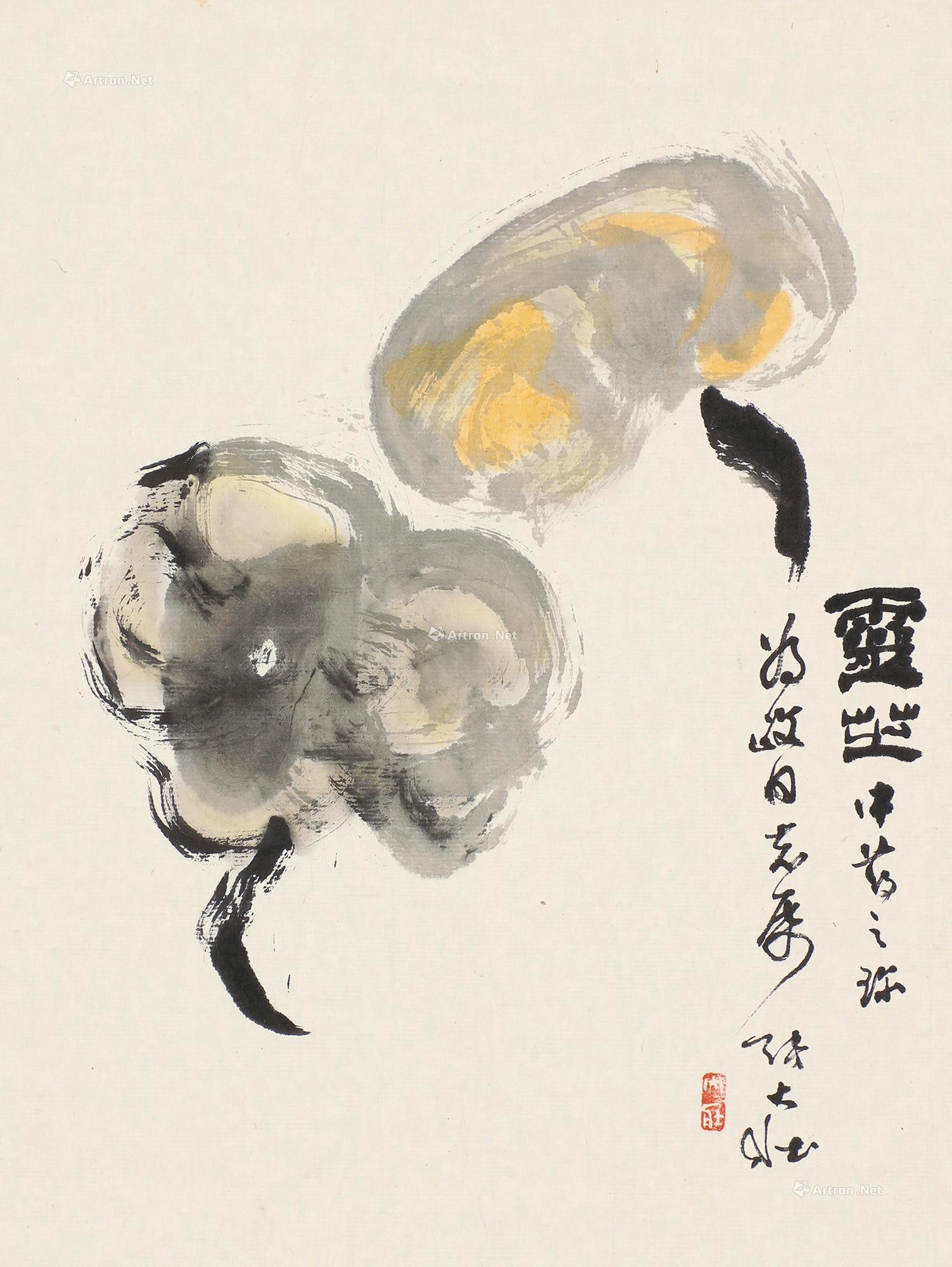 张大壮 灵芝 镜片