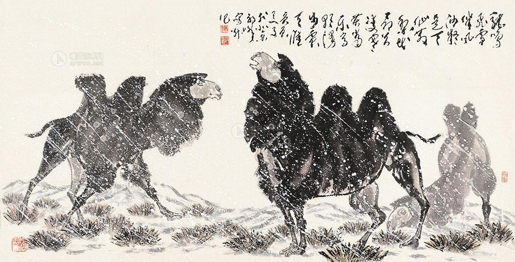 祁峰 骆驼
