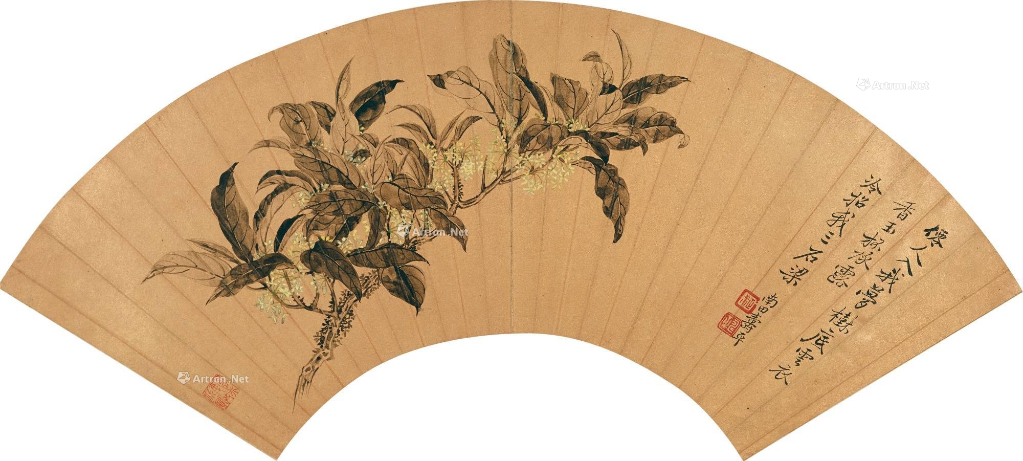 恽寿平 桂花 扇面