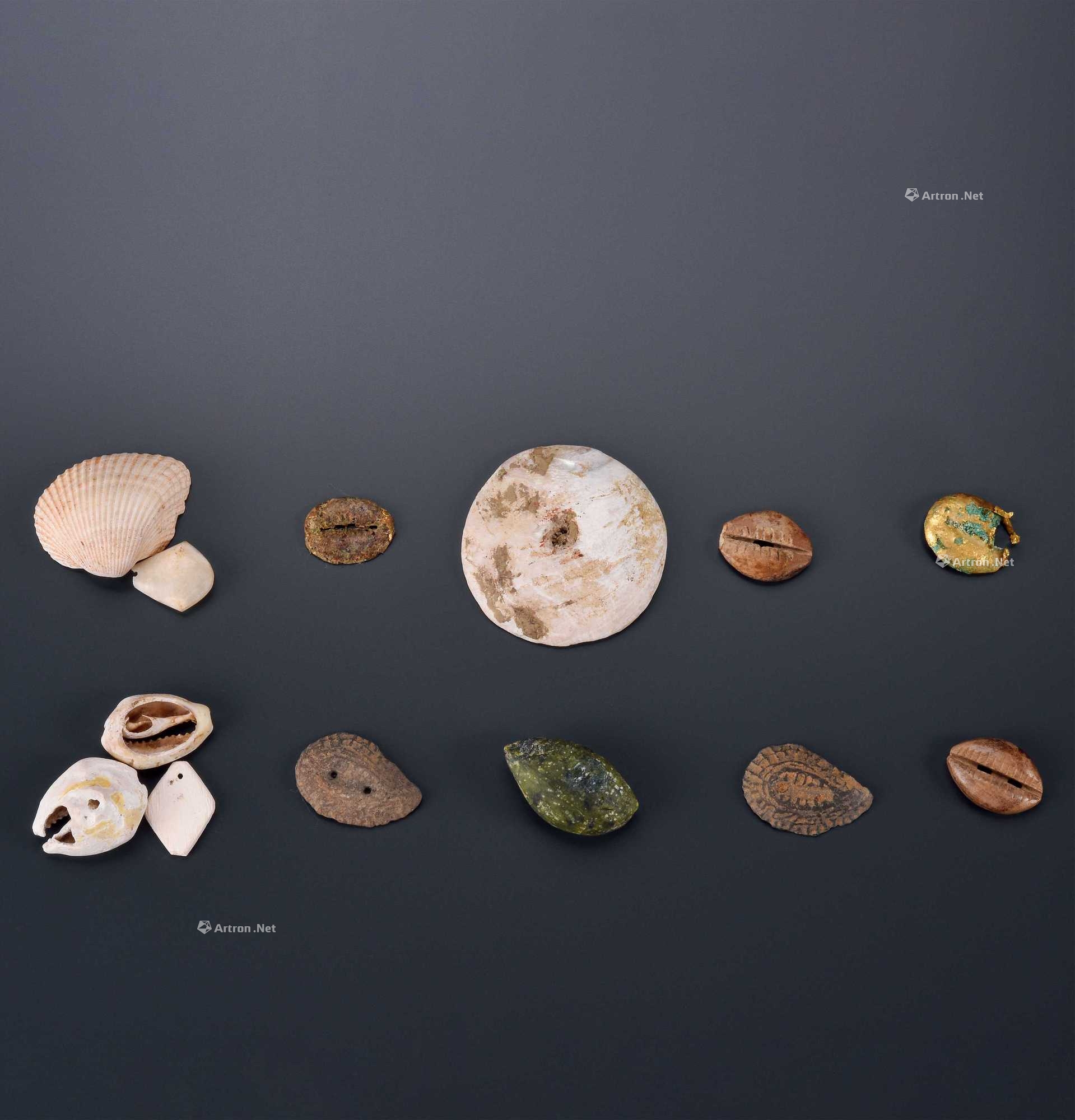 【预展中】lot0467 贝钱(十三件) - 雅昌拍卖图录app